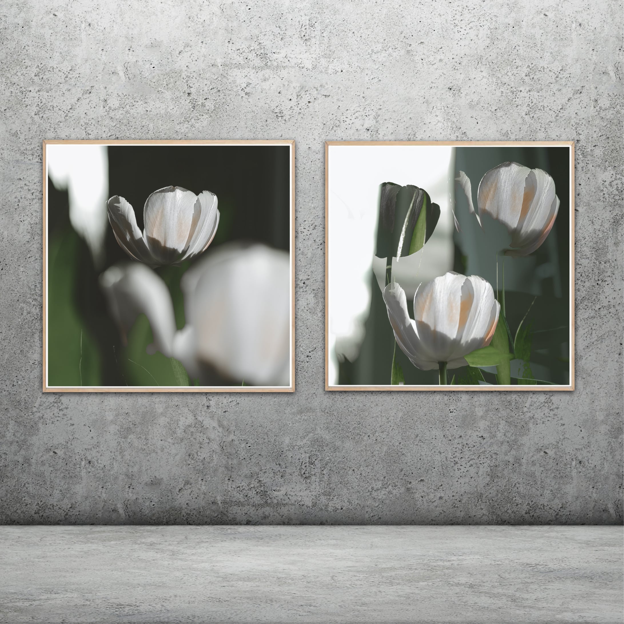 tulipaner, blomster, blomsterbillede, stafili, fotokunst, art, grafisk, multieksponering, dobbelteksponering, lag, interiør, foto, kunstfotografi, fujigfx